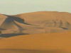 Bilder aus der Namib