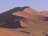 Bilder aus der Namib