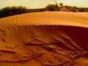 Bilder aus der Namib